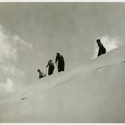 Cover image of [Five unidentified skiers, Skoki area]