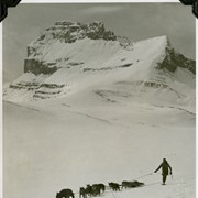 Cover image of [Ike Mills and his dog team on the trail near Redoubt Mountain, Skoki area]