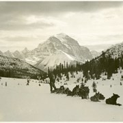 Cover image of [Ike Mills with dog team in front of Mount Temple]