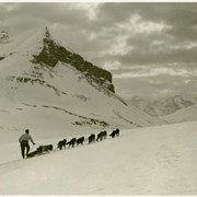 Cover image of [Ike Mills and his dog team, Skoki area]