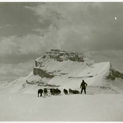 Cover image of [Ike Mills and his dog team, Redoubt Mountain, Skoki area]