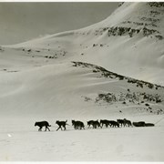 Cover image of [Ike Mills and his dog team, Skoki area]