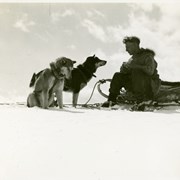 Cover image of [Ike Mills with two dogs, Skoki area]