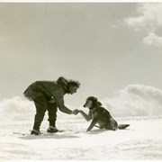 Cover image of [Ike Mills with one of his dogs, Skoki area]