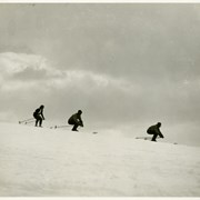Cover image of [Four unidentified skiers]