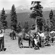 Cover image of [Group on trail ride]