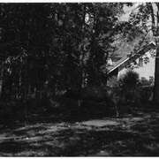 Cover image of [Bull moose in yard]
