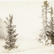 Cover image of [Unidentified man on horseback at Lake Louise]