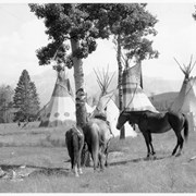 Cover image of [Three horses at Banff Indian Grounds]
