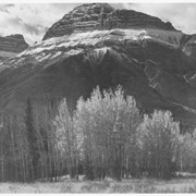 Cover image of Mount Brett - centre - Mount Massive J.D.