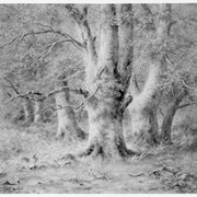 Cover image of [Painting of trees]