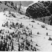 Cover image of Top of Downhill Course - Top Phone - Mt. Norquay ca. 1935 J.D.