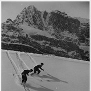 Cover image of [Two unidentified skiers]