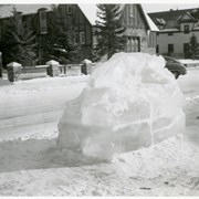 Cover image of [Cougar ice sculpture]