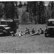 Cover image of Picnic between two jeeps