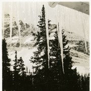 Cover image of Icicles