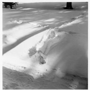 Cover image of Footprints in snow