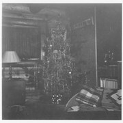Cover image of Christmas tree in the Whyte home