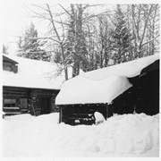 Cover image of Whyte house and shed in winter