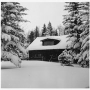 Cover image of Whyte house in winter