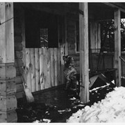 Cover image of Dog on cabin porch