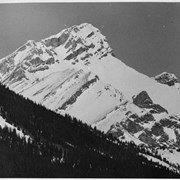 Cover image of Mount Brewster