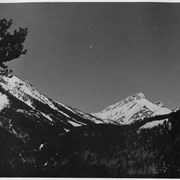 Cover image of Mount Brewster
