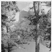 Cover image of House and Rundle Mountain