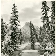 Cover image of Rundle Mountain and stream in winter
