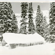 Cover image of Log cabin in winter