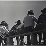 Cover image of Unidentified men in cowboy hats on bleachers
