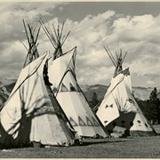 Cover image of Tepees