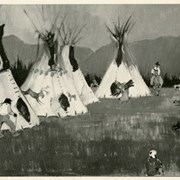 Cover image of "Stoney Indian Camp"