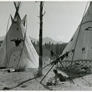 Cover image of Banff Indian Grounds