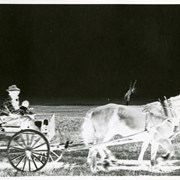 Cover image of Horse-drawn wagon - negative