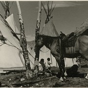 Cover image of Horse and tepees
