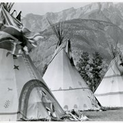 Cover image of Tepees