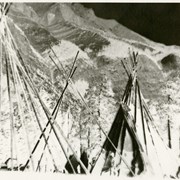 Cover image of Tepees - negative