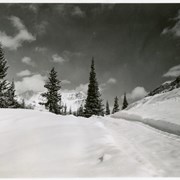 Cover image of Winter landscape