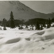 Cover image of Winter landscape