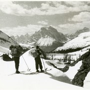 Cover image of Unidentified skiers
