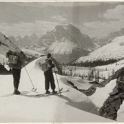 Cover image of Skiers