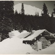 Cover image of Log cabin