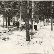 Cover image of Banff Cemetery