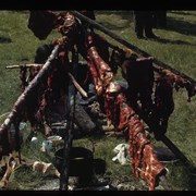 Cover image of Meat drying over campfire