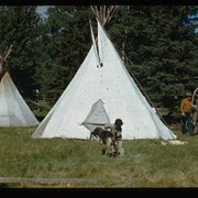 Cover image of Camp at Banff Indian Days