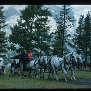 Cover image of Banff Indian Days parade stagecoach 1950