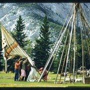 Cover image of Tipi raising at Banff Indian Days