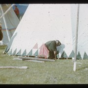 Cover image of Tipi raising Banff Indian Days 1950