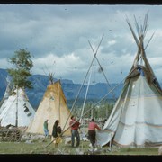 Cover image of Tipi raising Banff Indian Days 1950